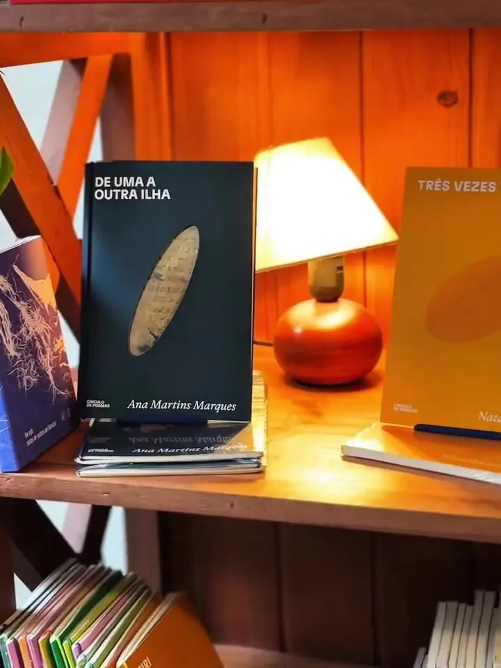 Estante com livros e um abajur aceso.