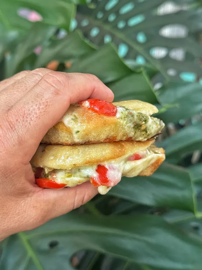 Mão segurando um sanduíche quente com queijo derretido e tomate, com plantas ao fundo.